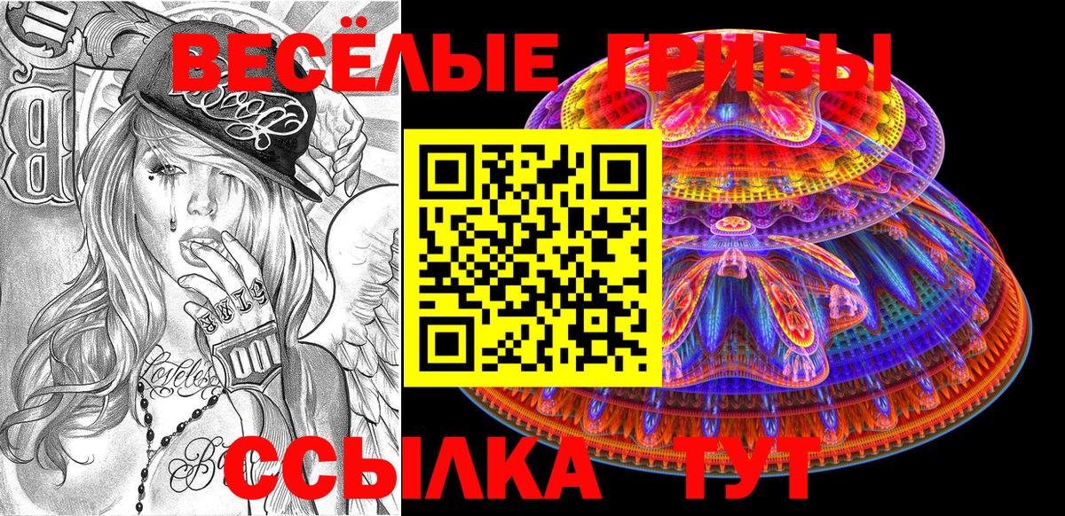 где можно купить наркотик  Галлюциногенные грибы мухоморы  Вход с VPN  Малоярославец 
